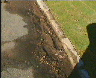 soil in gutter