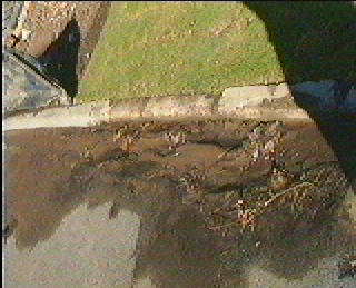 soil in gutter