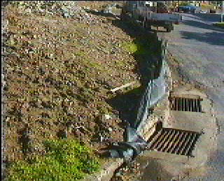 sediment fence ends adjacent to street gully.